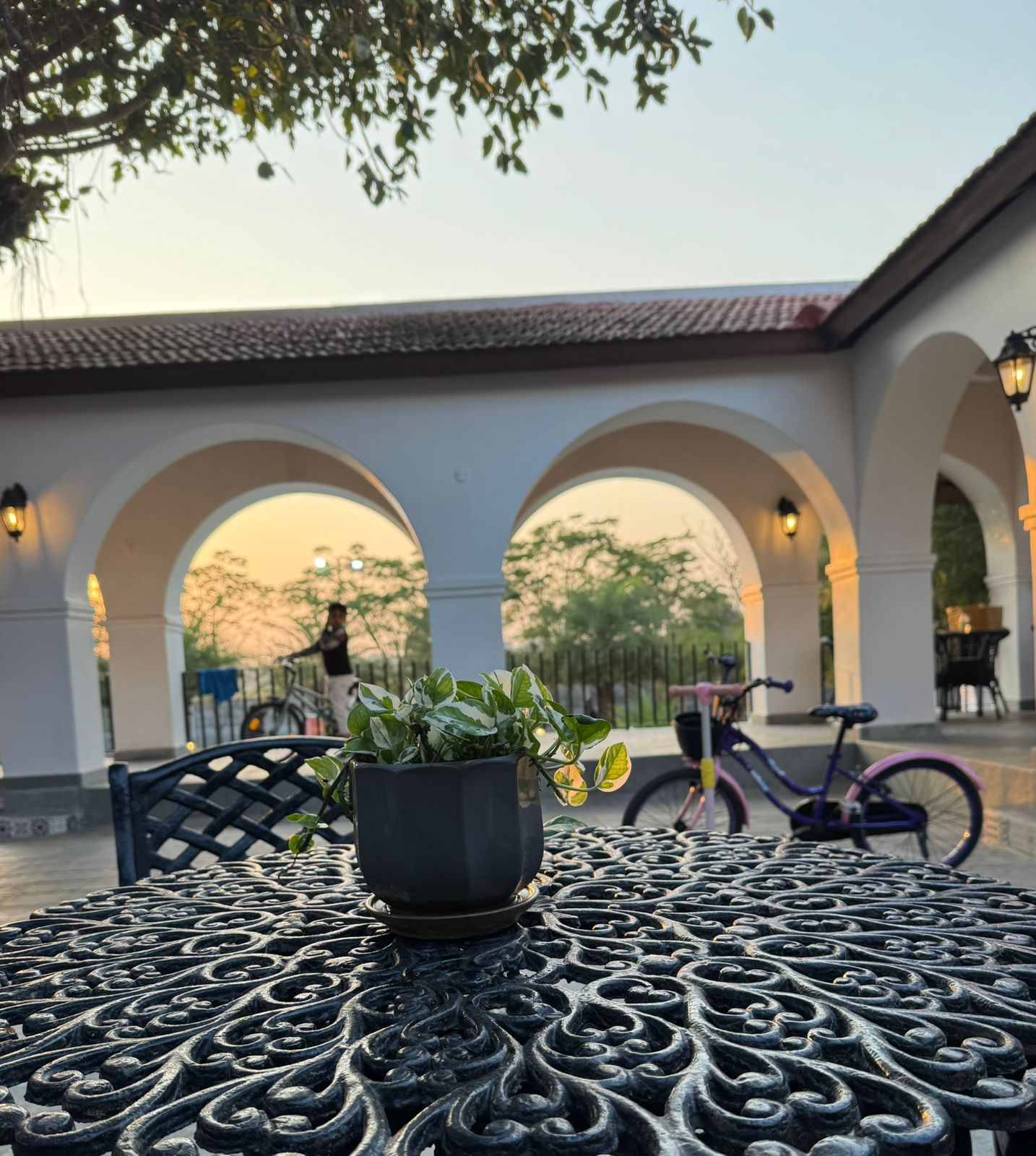 Patio with ornate table, potted plant, and bicycle in front of a building with arches.